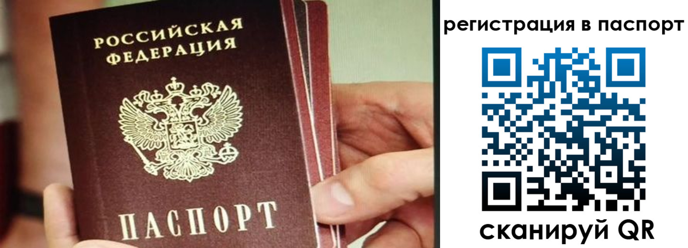 временная регистрация надежно в Рязанской области